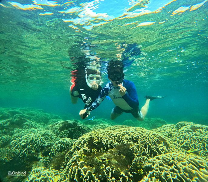 Professional Marine Life Discovery Snorkeling with small group in Phu Quoc Island, Vietnam