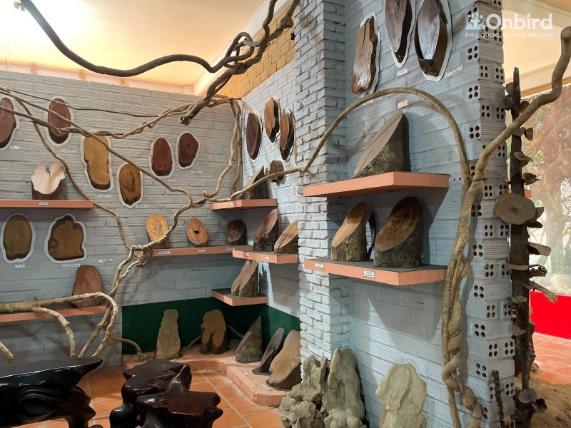 Inside Bao Tang Coi Nguon Museum Phu Quoc (1)