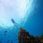 Scientific Snorkeling: The best time to snorkel in Phu Quoc Island