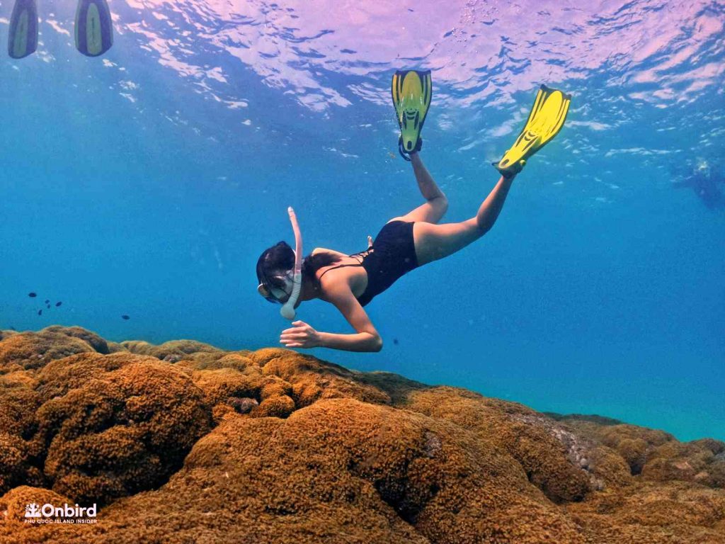 Dcim102goprogopr8370.jpg