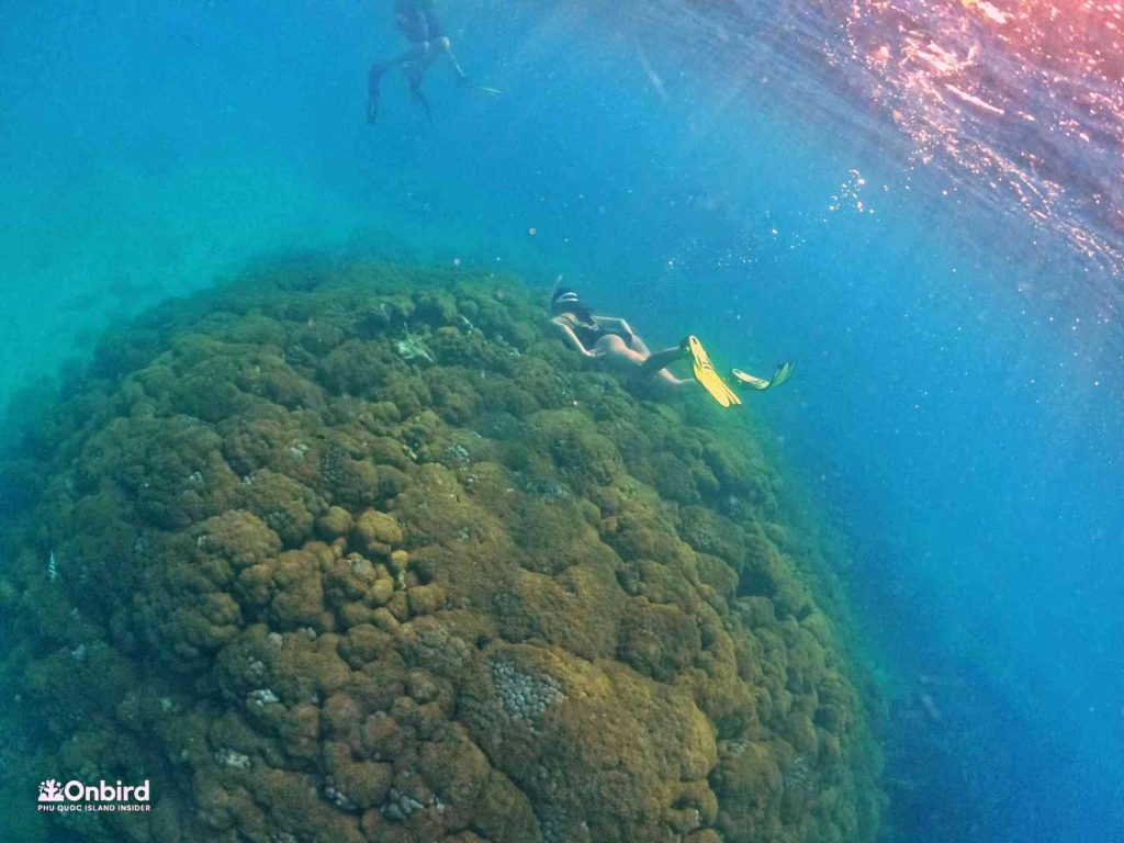 Dcim102goprogopr8371.jpg