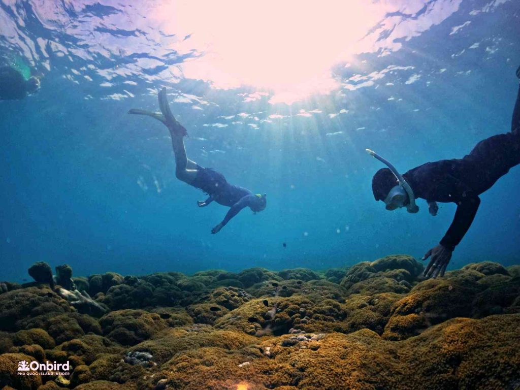 Dcim102goprogopr8372.jpg