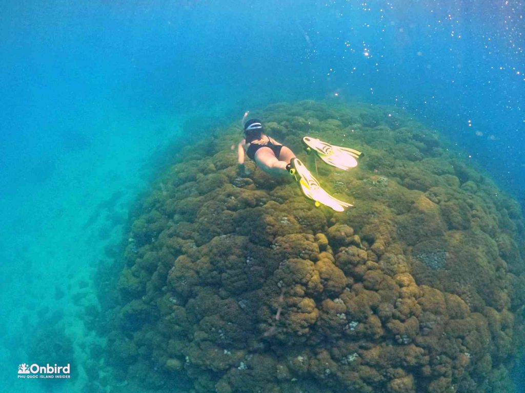 Dcim102goprogopr8373.jpg
