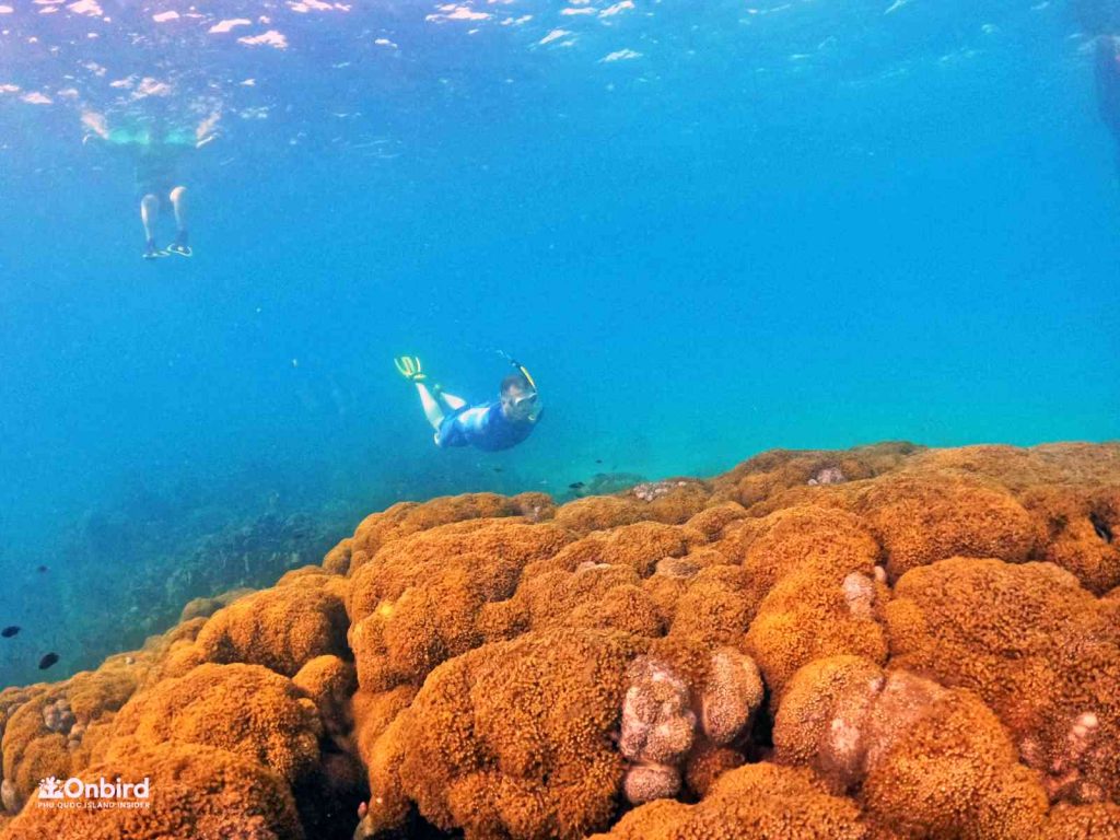 Dcim102goprogopr8374.jpg