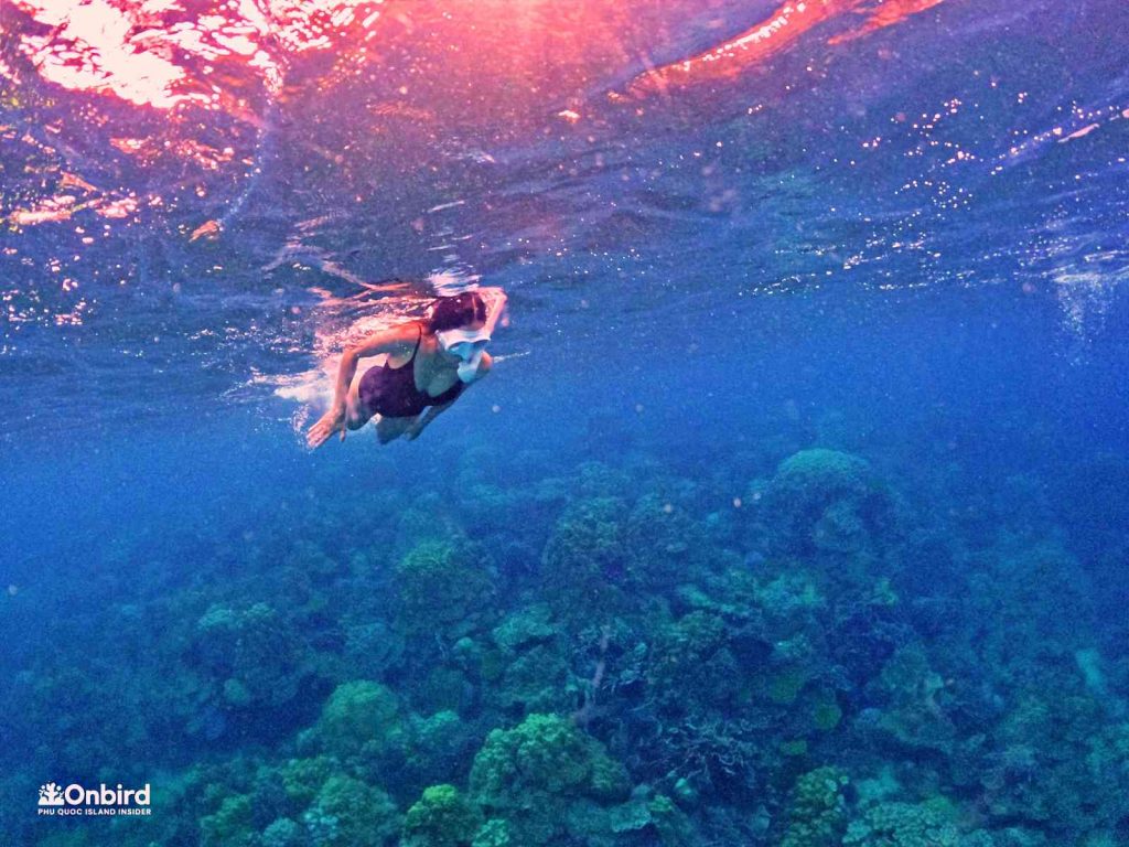 Dcim102goprogopr8380.jpg