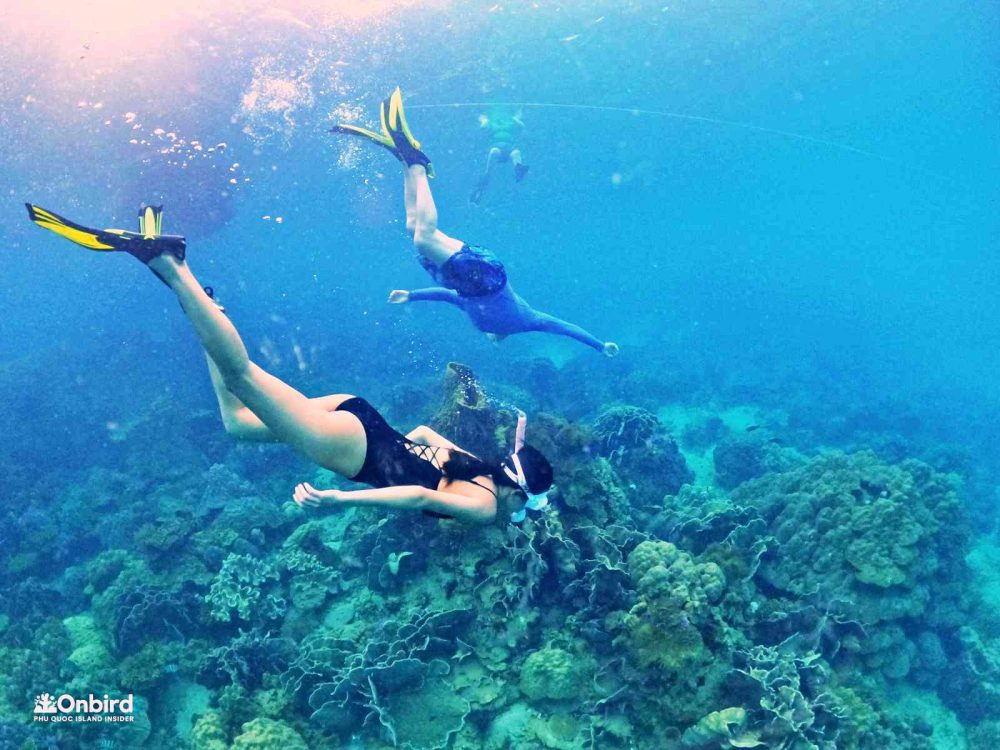 PRIVATE SNORKELING TRIP TO HALFMOON REEF & CORAL MOUNTAIN IN PHU QUOC