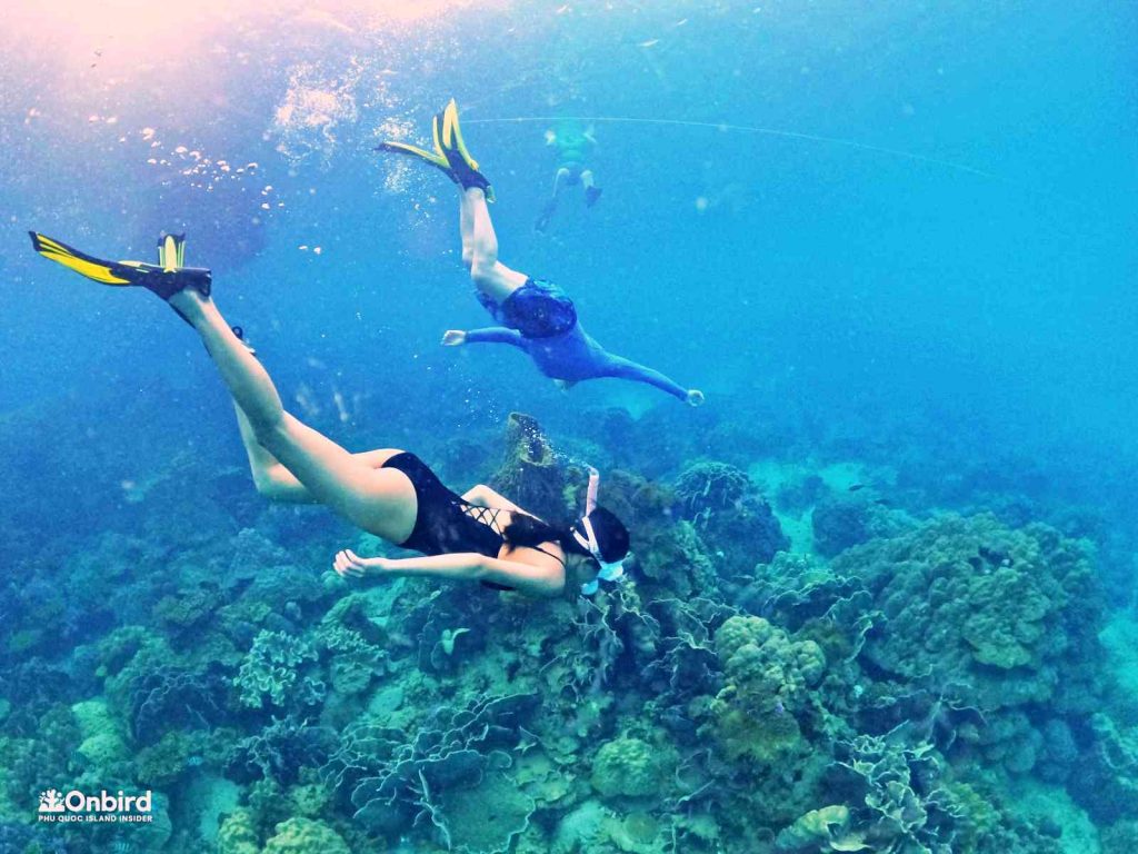 Dcim102goprogopr8384.jpg