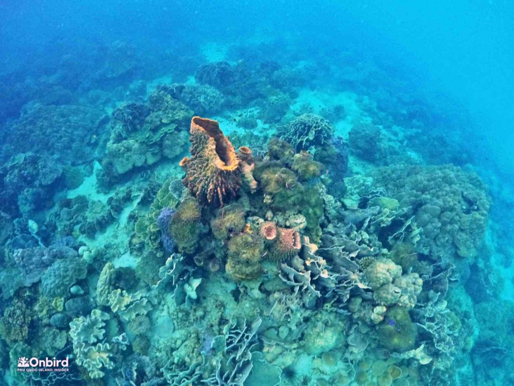 Dcim102goprogopr8387.jpg