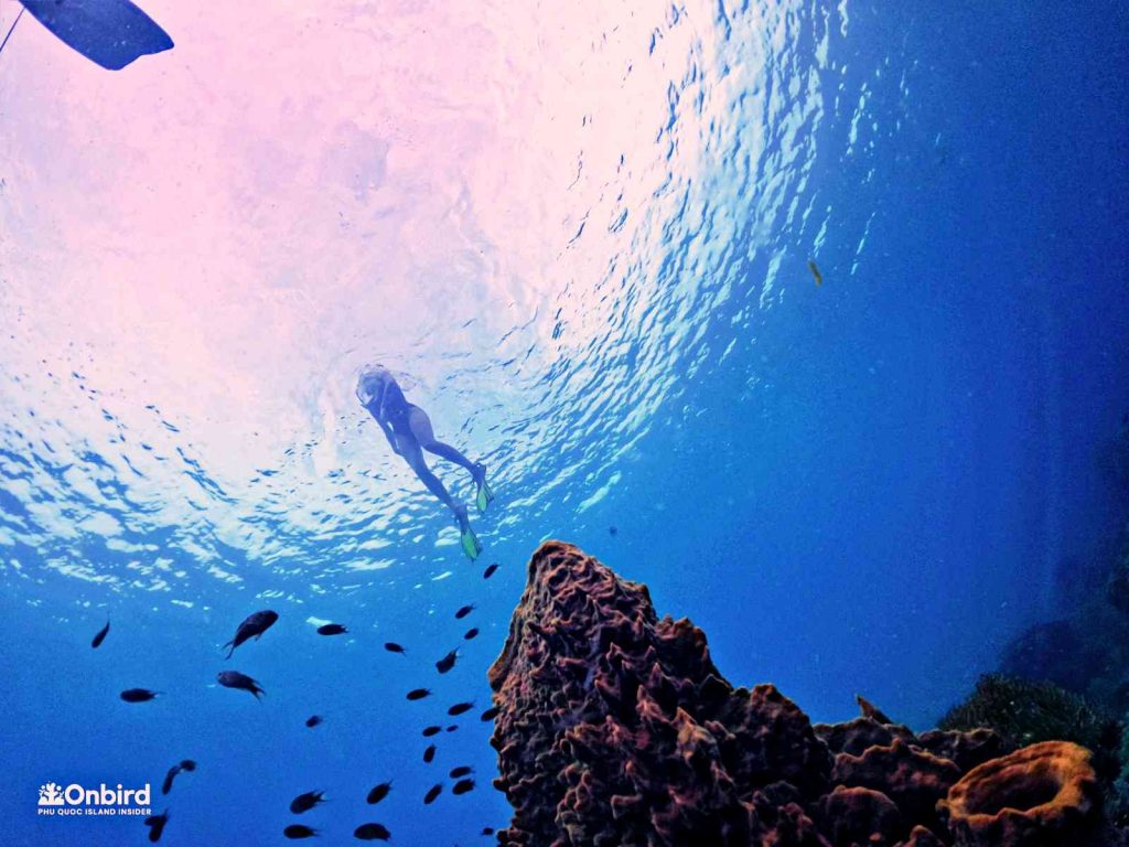 Dcim102goprogopr8389.jpg