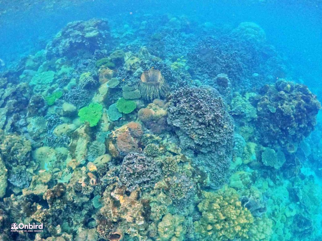 Dcim102goprogopr8390.jpg