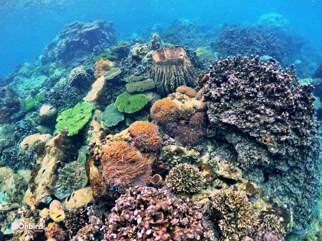 Dcim102goprogopr8391.jpg