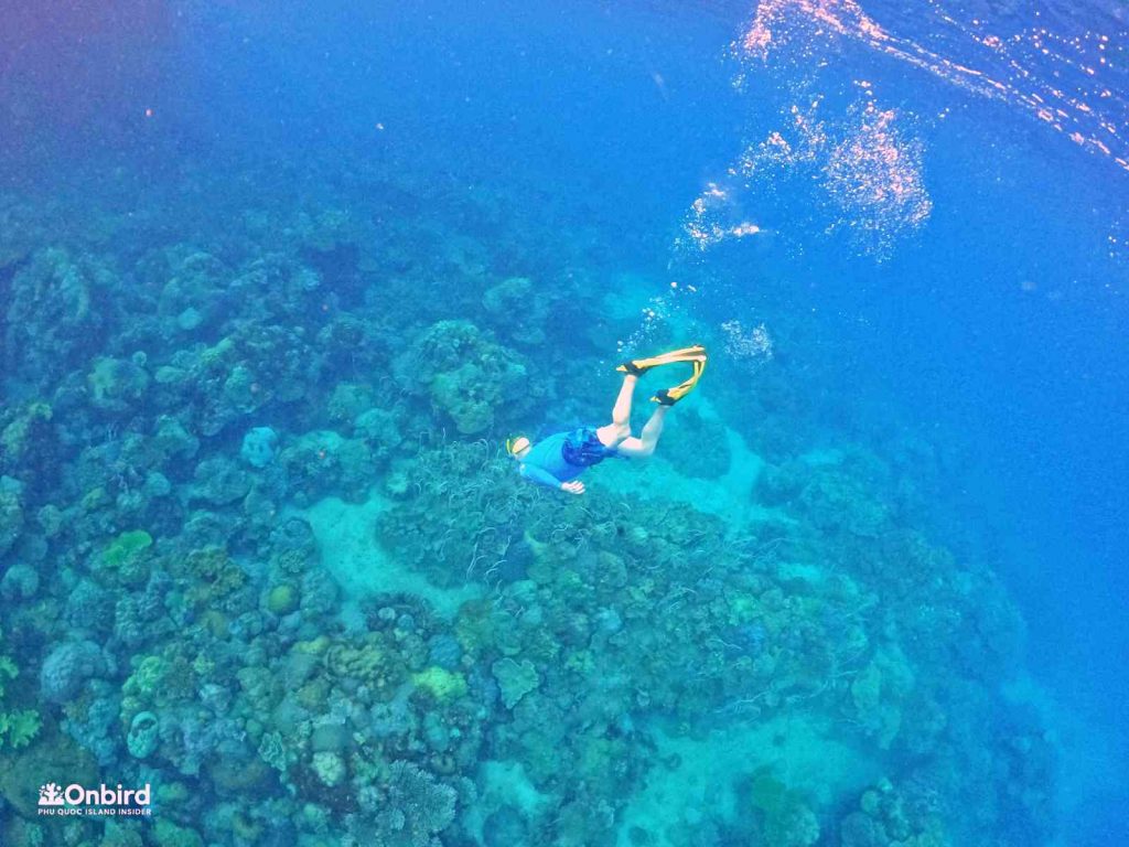 Dcim102goprogopr8419.jpg