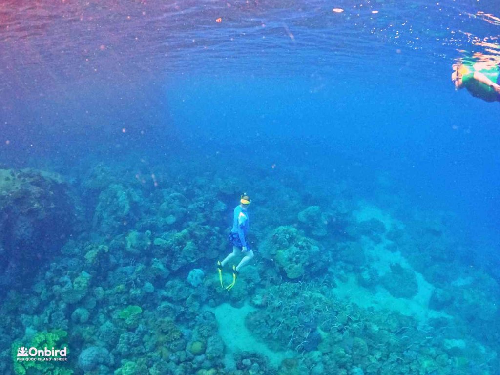 Dcim102goprogopr8420.jpg