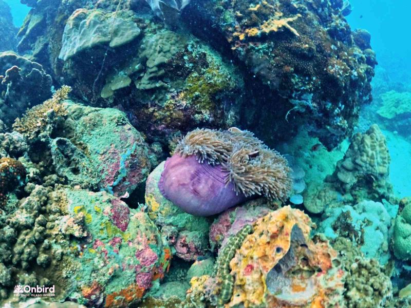 Dcim102goprogopr8421.jpg