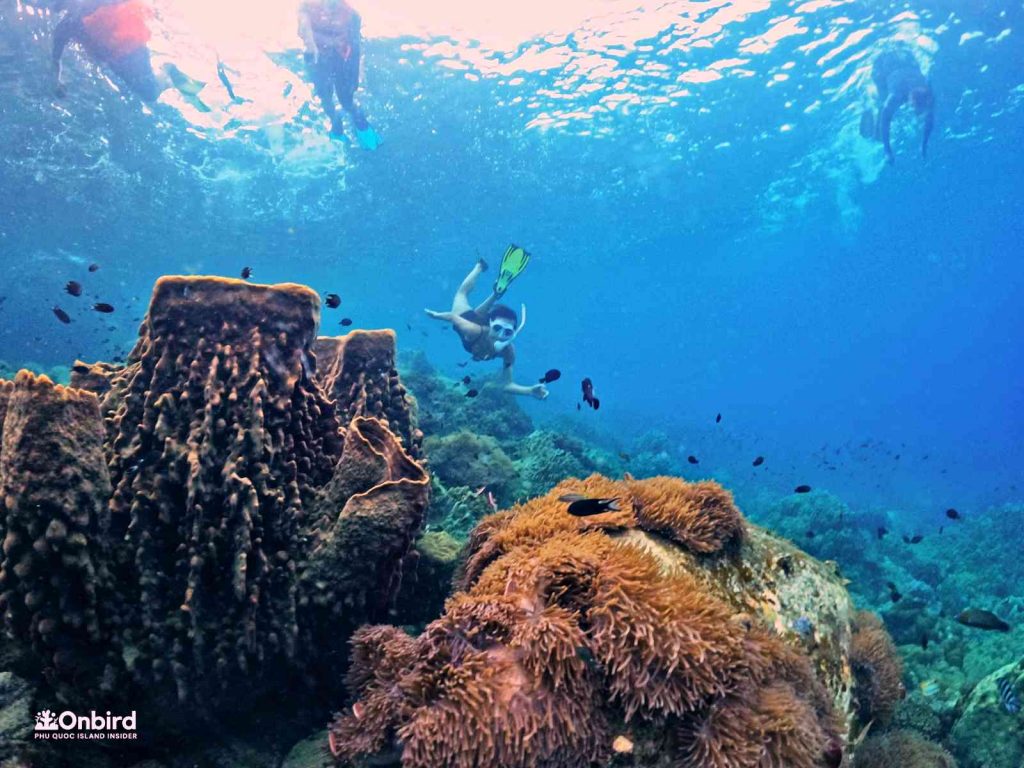 Dcim102goprogopr8424.jpg