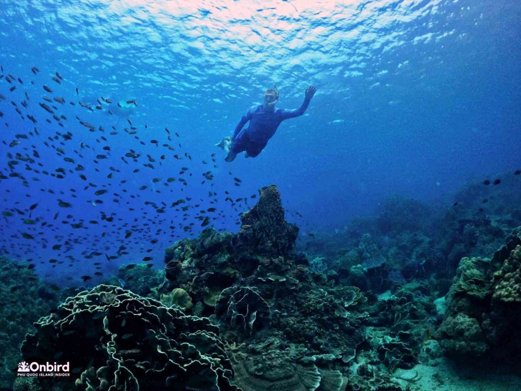 Dcim102goprogopr8427.jpg