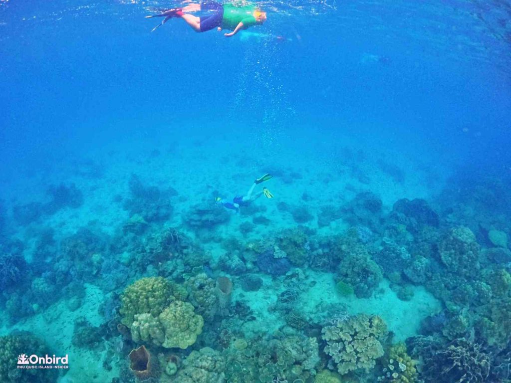 Dcim102goprogopr8428.jpg