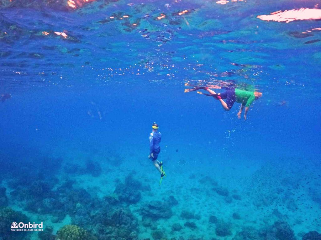 Dcim102goprogopr8429.jpg