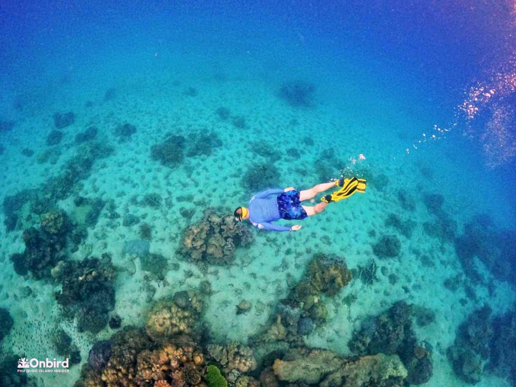 Dcim102goprogopr8447.jpg