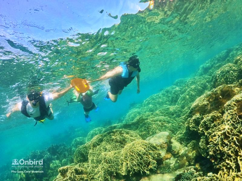 OnBird Phu Quoc 는 표준화된 투어가 아닌 지속 가능한 경험을 운영합니다.