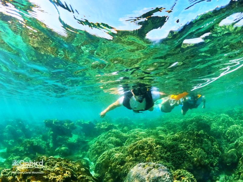 OnBird Phu Quoc 는 표준화된 투어가 아닌 지속 가능한 경험을 운영합니다.