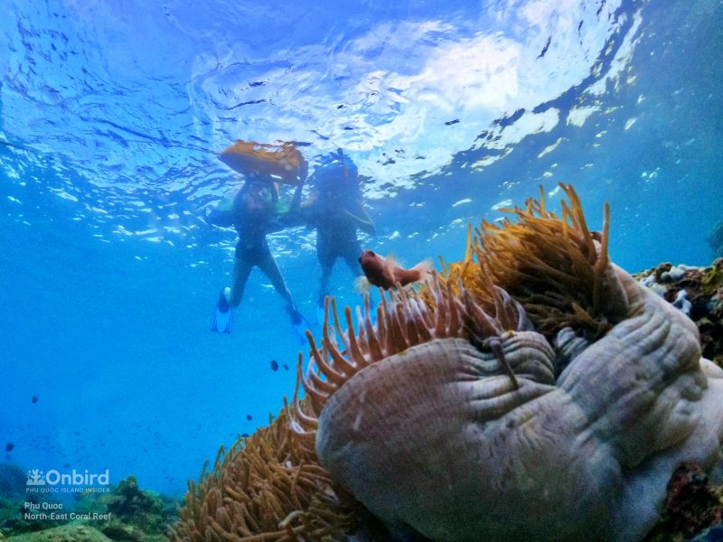 OnBird Phu Quoc 는 표준화된 투어가 아닌 지속 가능한 경험을 운영합니다.