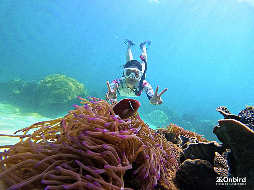 DISCOVERY THE LARGEST CORAL REEF & SUNSET DINNING or BEACH LUNCH at a JUNGLE-SURROUNDED PRIVATE NATURAL BEACH
