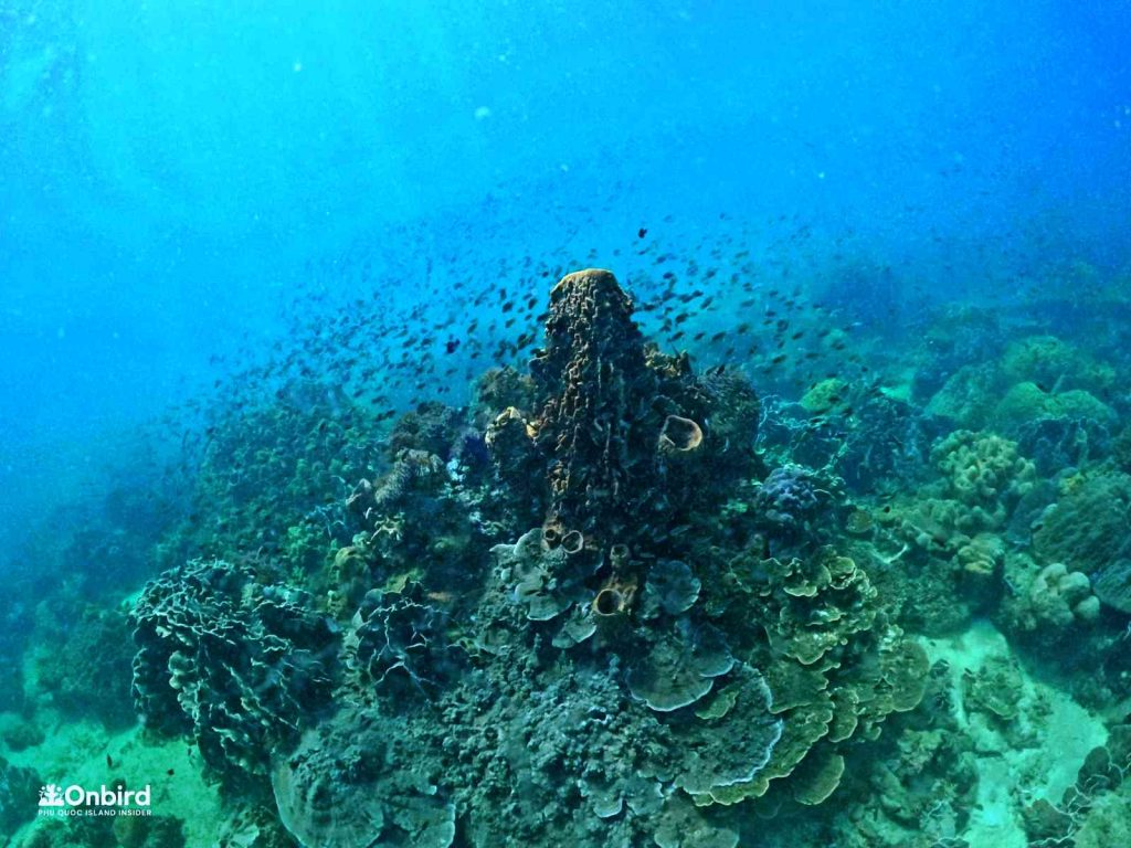 Dcim101goprogopr2211.jpg
