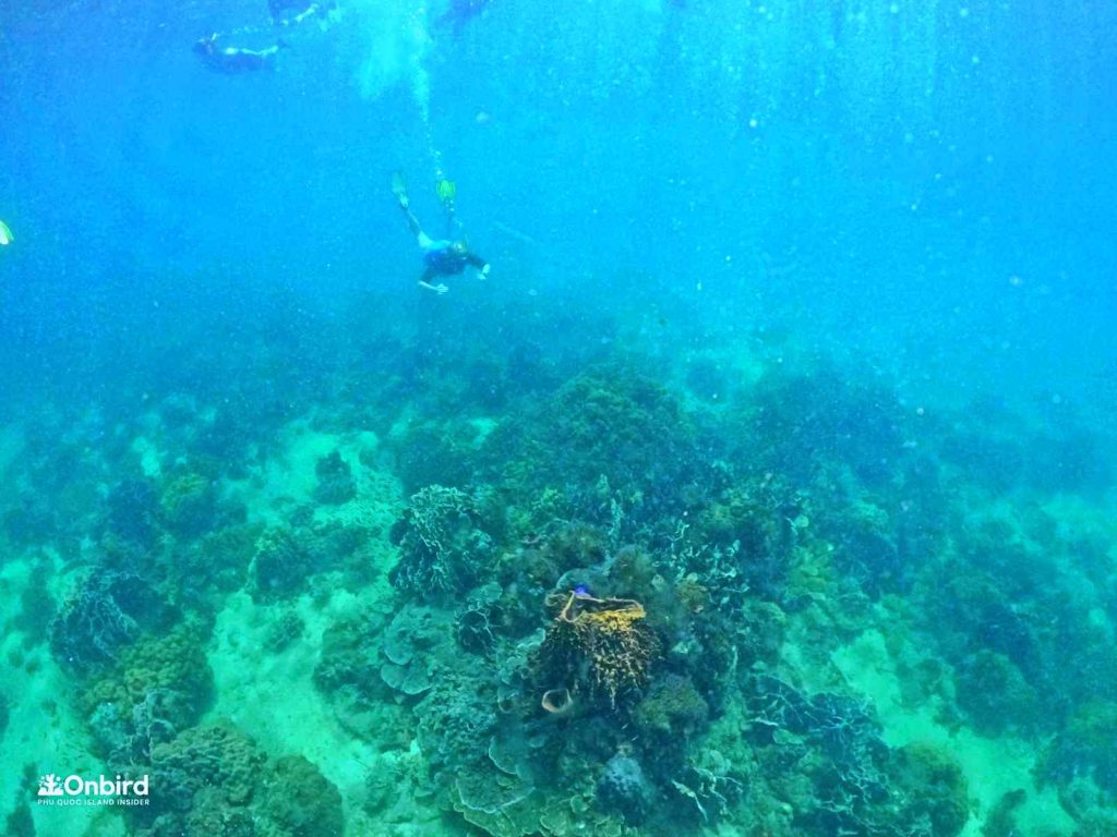 Dcim101goprogopr2212.jpg