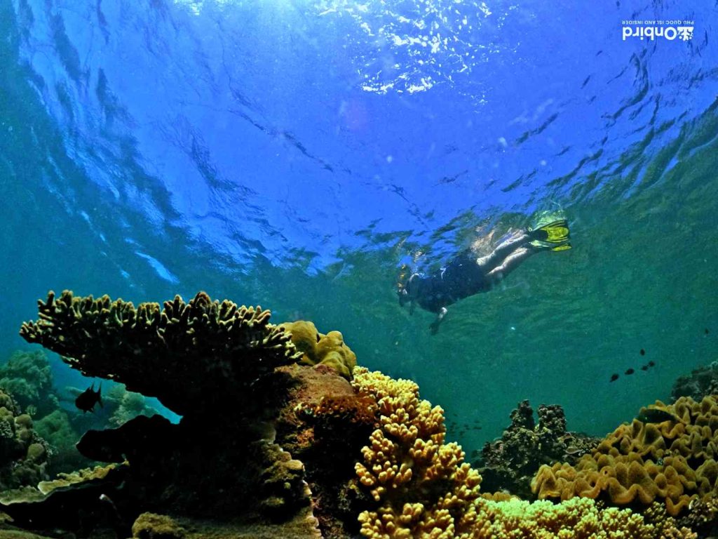 Dcim101goprogopr2242.jpg