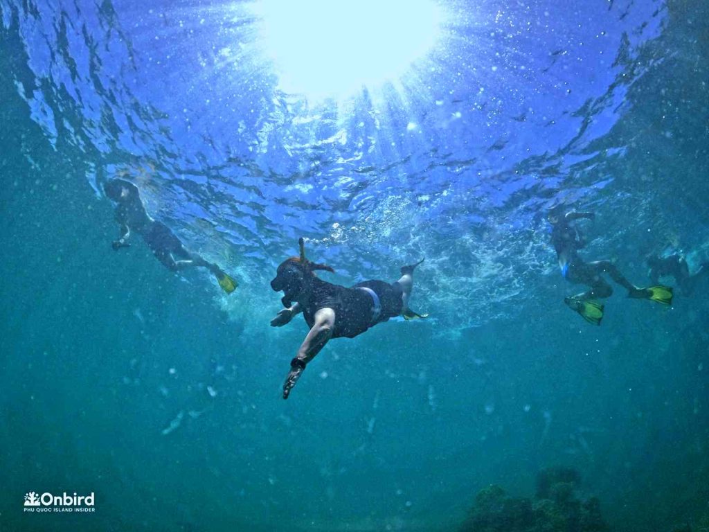 Dcim101goprogopr2298.jpg