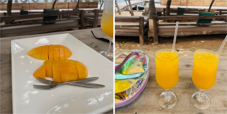 푸꾸옥 스노쿨링 호핑 존스투어보다 온버드 추천 이유 후기 [출처] 푸꾸옥 스노쿨링 호핑 존스투어보다 온버드 추천 이유 후기|작성자 쏘다