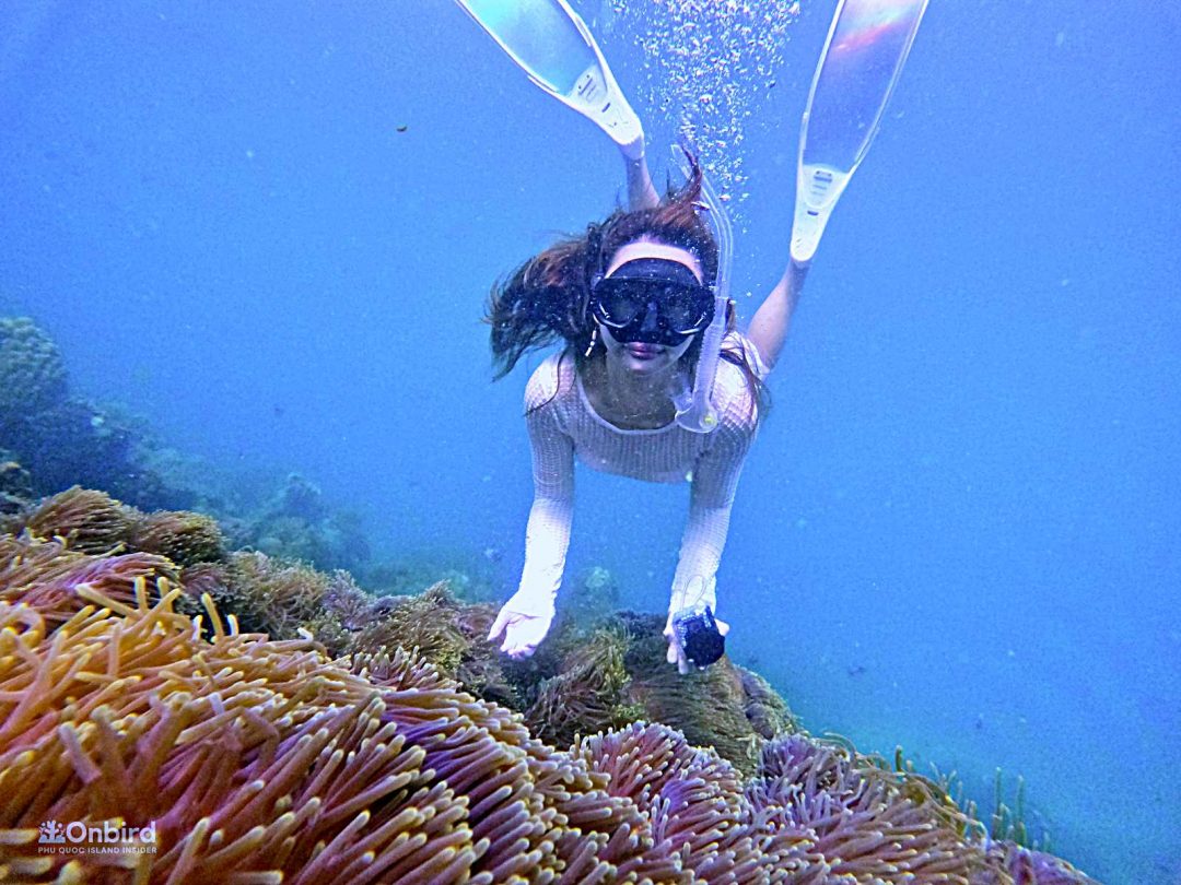 Free-diving in Phu Quoc Island, Vietnam