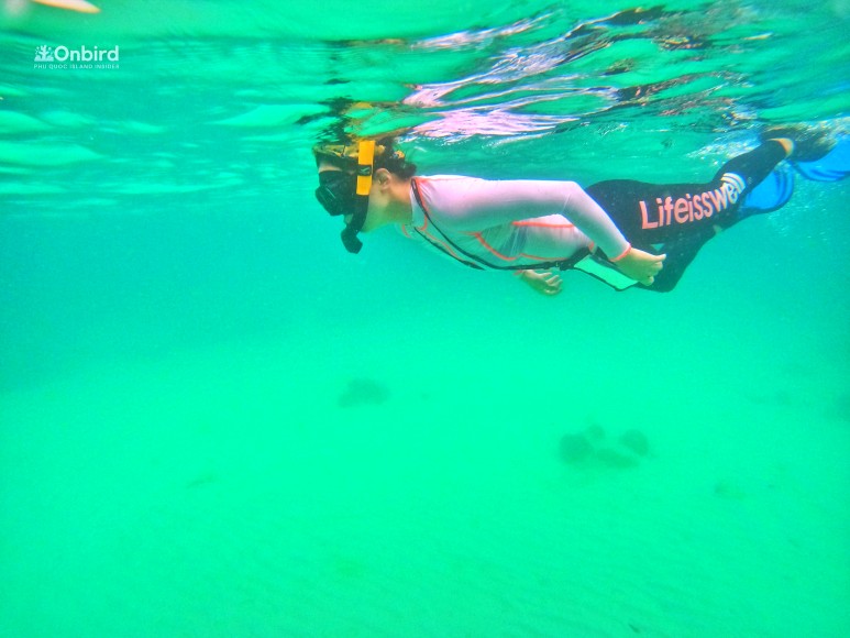 너무도 친절하도 유쾌했던 온버드 직원분들. 카메라를 들이대니 저렇게 개구진 장난을 치시더라구요 ㅋㅋㅋㅋ 순수한 미소가 아직도 생각이 나네요 ㅎㅎㅎ [출처] 푸꾸옥 스노쿨링 호핑 존스투어보다 온버드 추천 이유 후기|작성자 쏘다