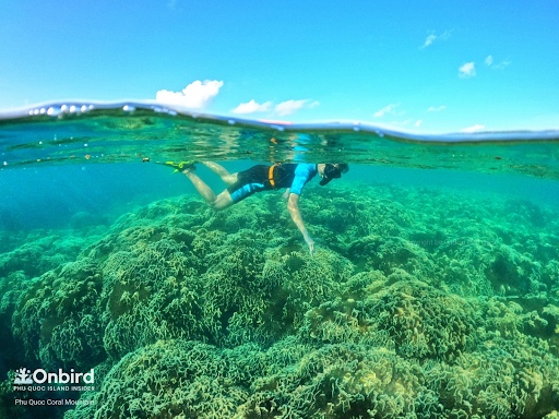 Snorkeling S An Activity Not To Be Missed When Visiting Phu Quoc