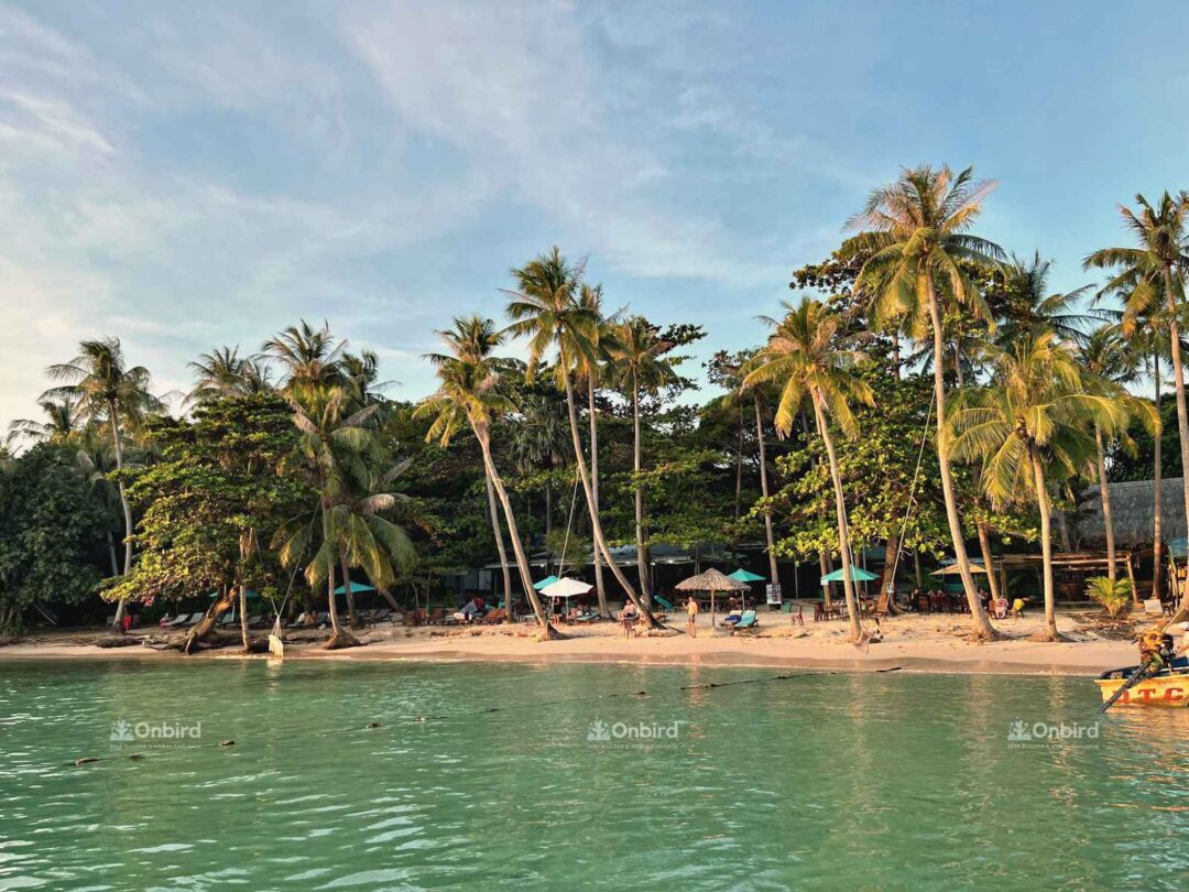 OnBird Sunset BBQ - Snorkeling & Picnic by speedboat