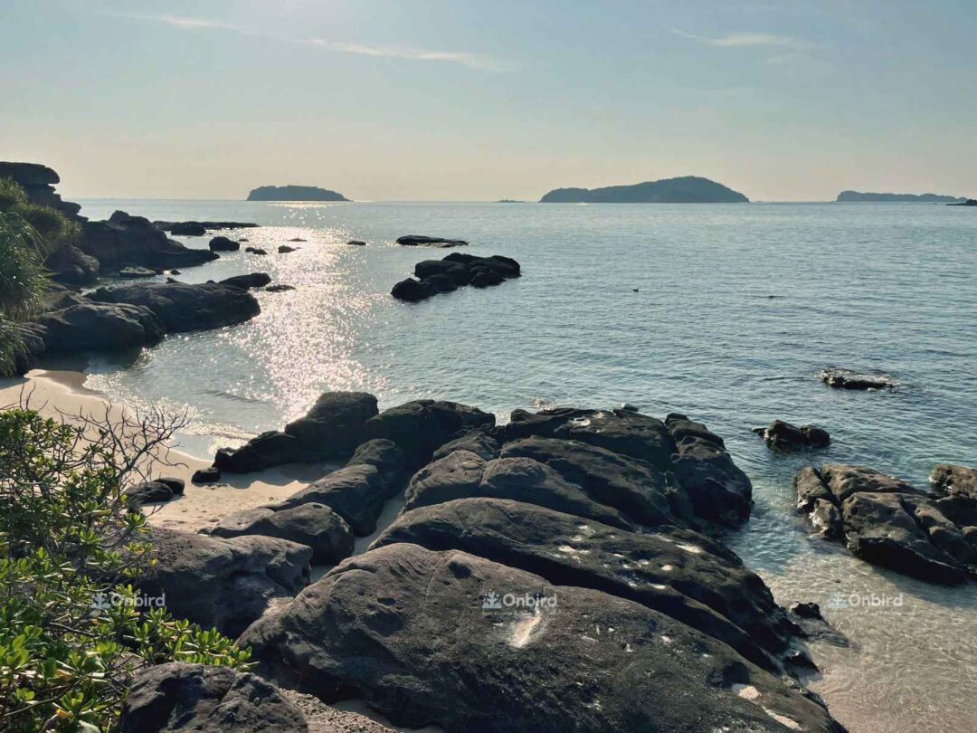 OnBird Sunset BBQ - Snorkeling & Picnic by speedboat