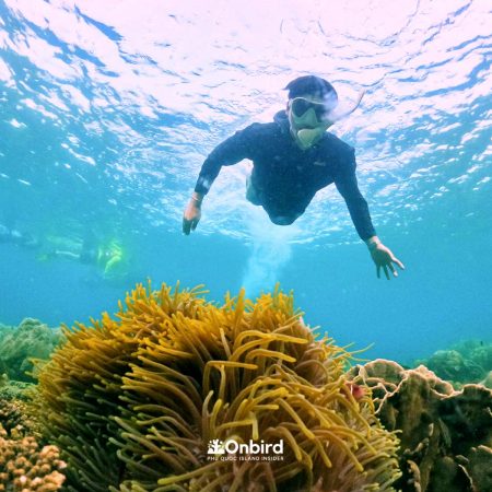 Professional Small Group Discovery Snorkeling in Phu Quoc Island, Vietnam