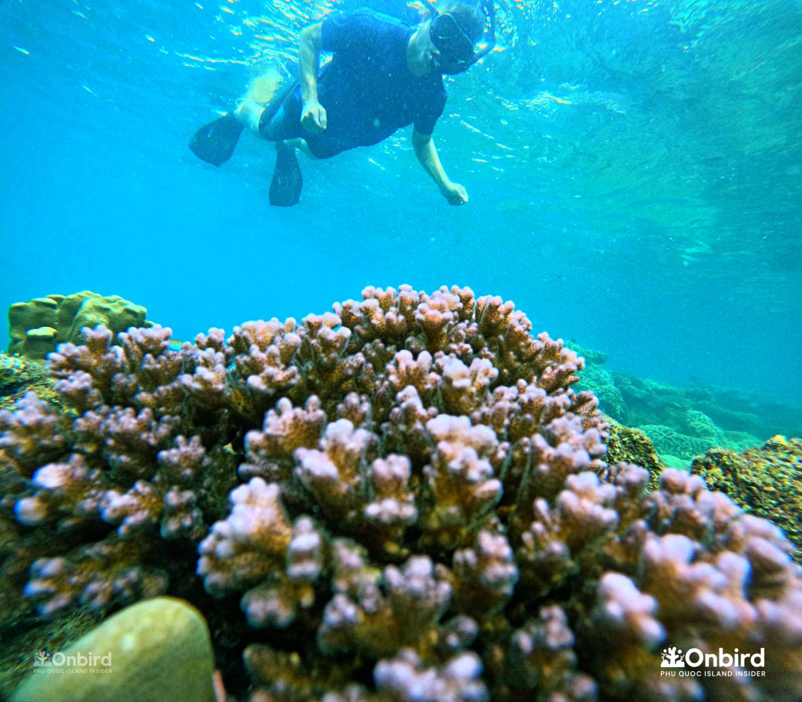 We chose Onbird because we wanted to avoid big mass tours and Onbird focused on conservation and safety - Snorkeling with kids