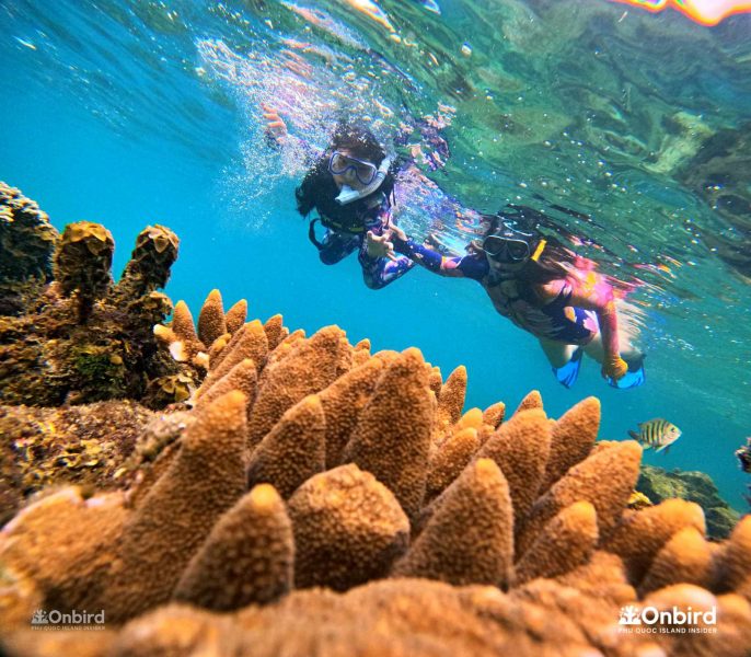 We chose Onbird because we wanted to avoid big mass tours and Onbird focused on conservation and safety - Snorkeling with kids