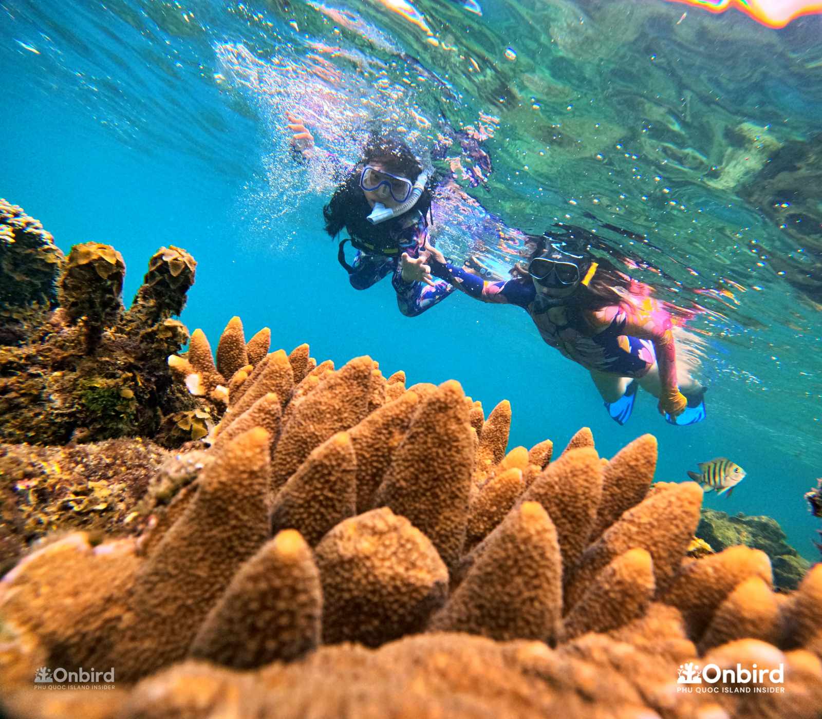 We chose Onbird because we wanted to avoid big mass tours and Onbird focused on conservation and safety - Snorkeling with kids