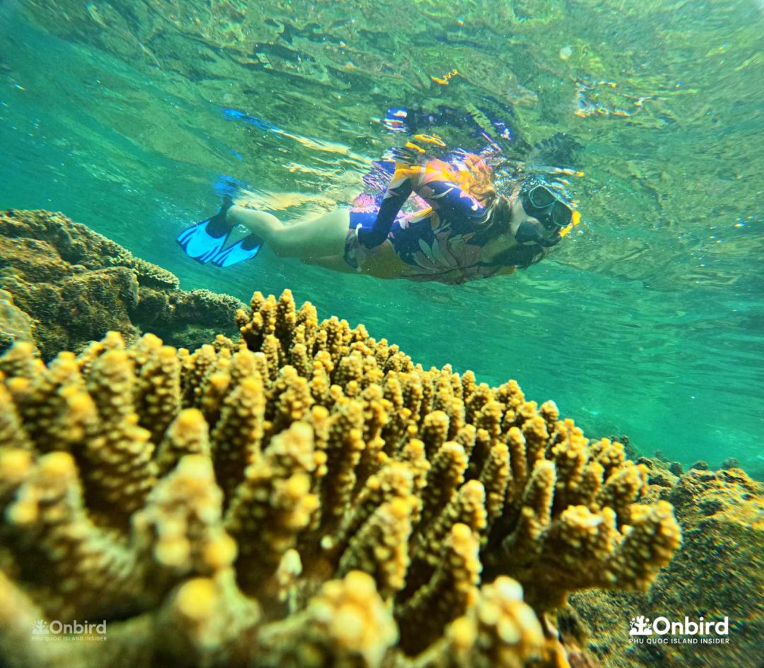 We chose Onbird because we wanted to avoid big mass tours and Onbird focused on conservation and safety - Snorkeling with kids