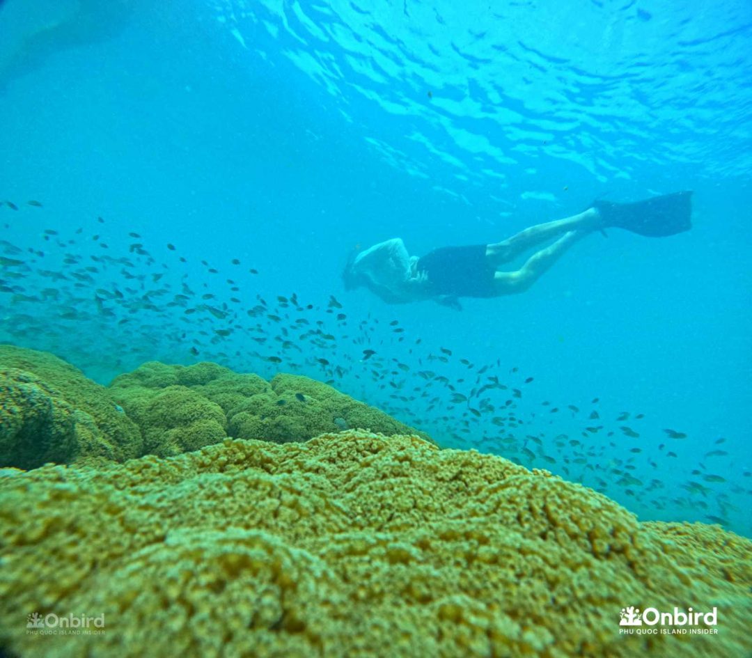 Dcim101goprogopr6382.jpg