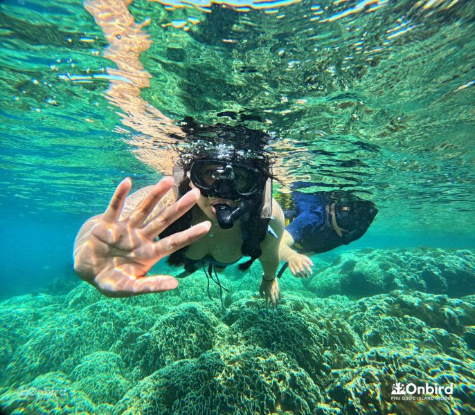 dry snorkel in OnBird snorkeling experience