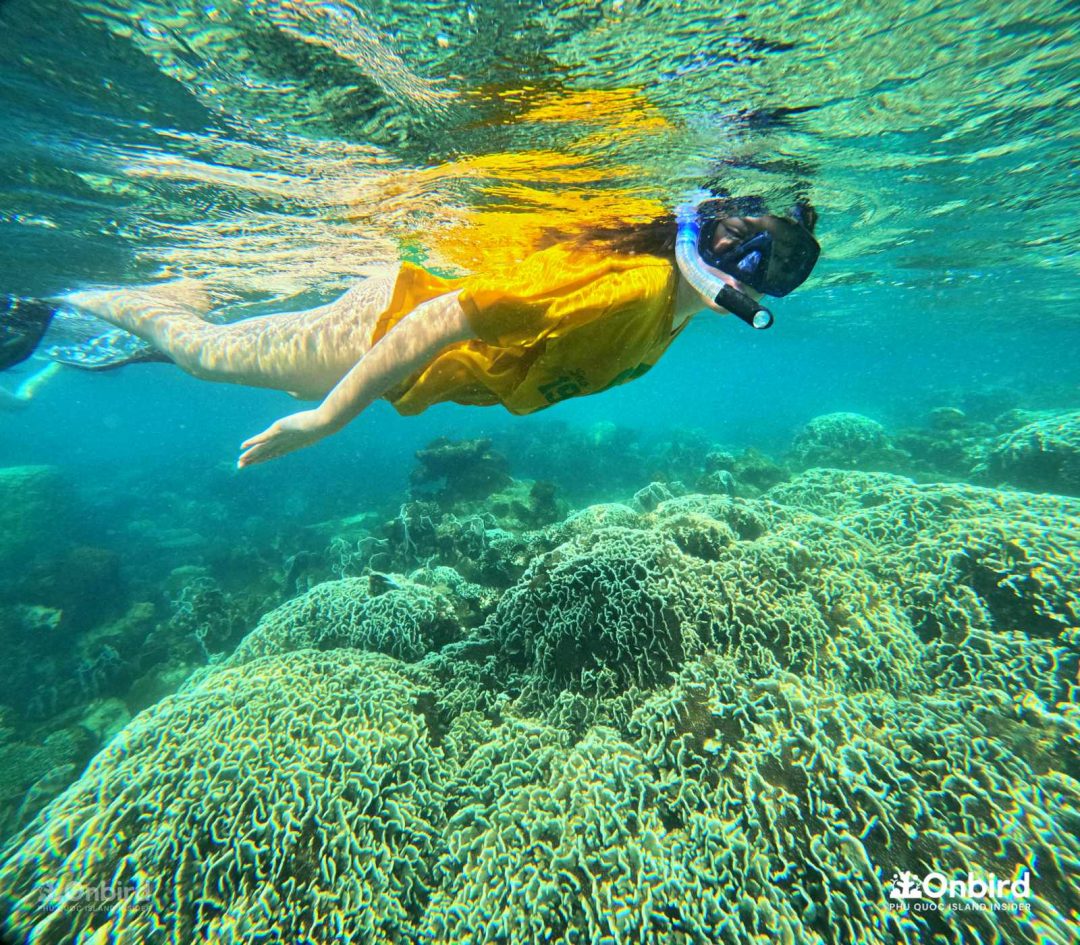 Dcim101goprogopr6435.jpg