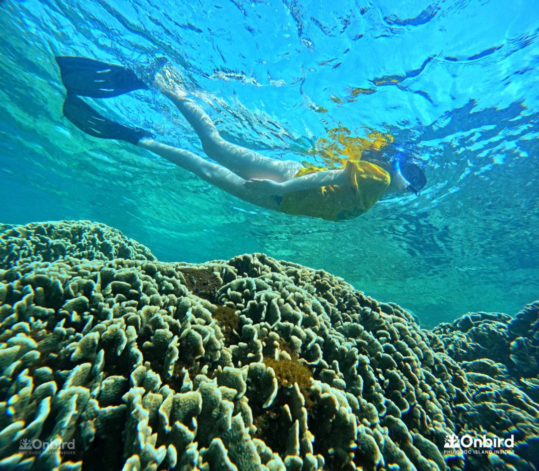 Dcim101goprogopr6437.jpg