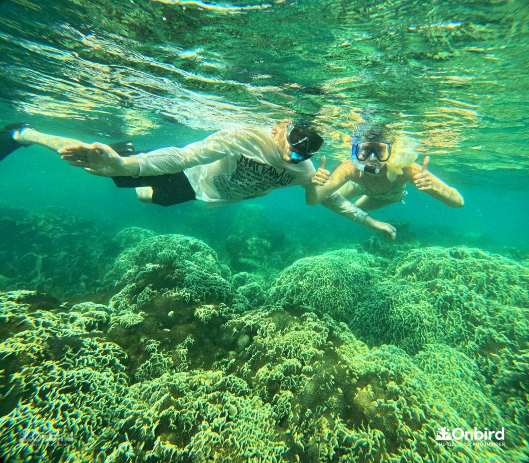 Dcim101goprogopr6440.jpg
