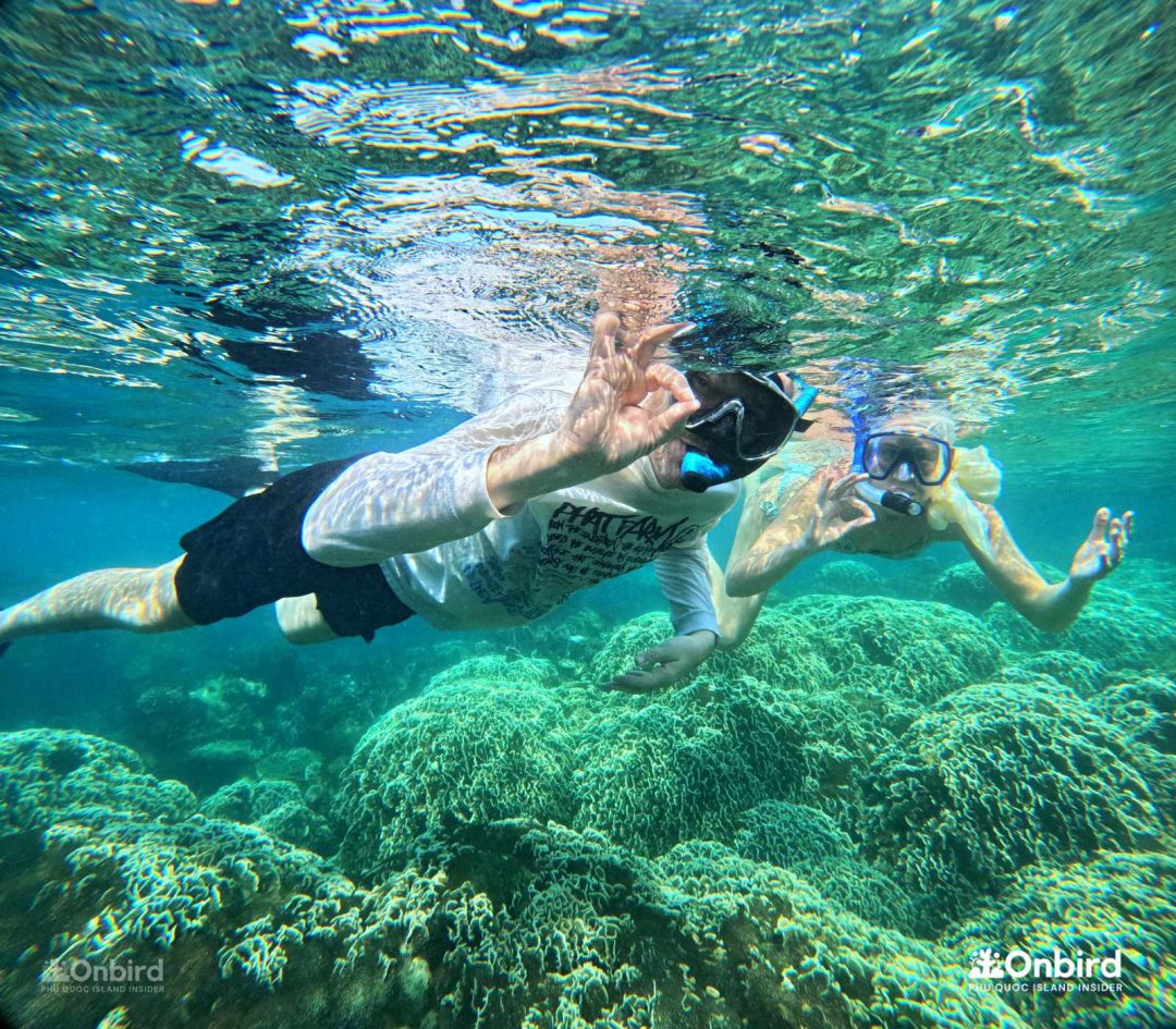 Dcim101goprogopr6442.jpg