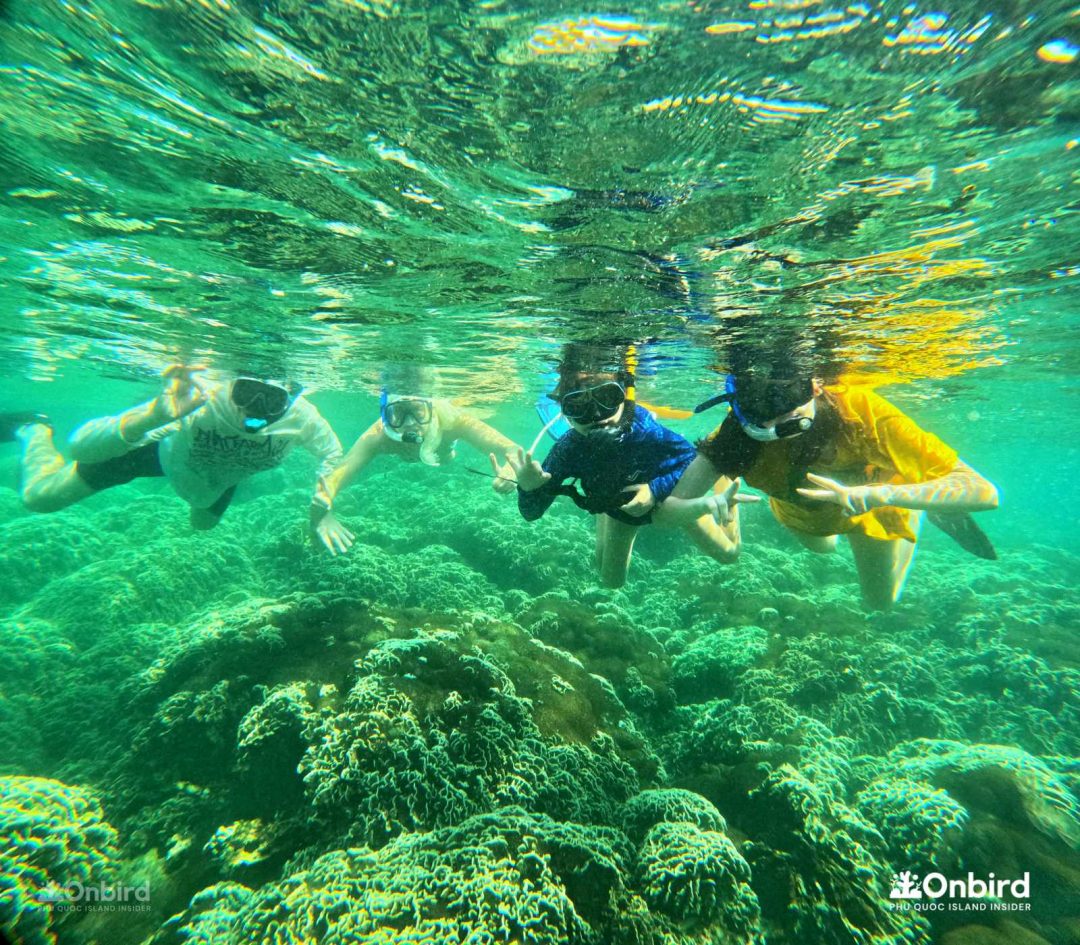 Dcim101goprogopr6445.jpg