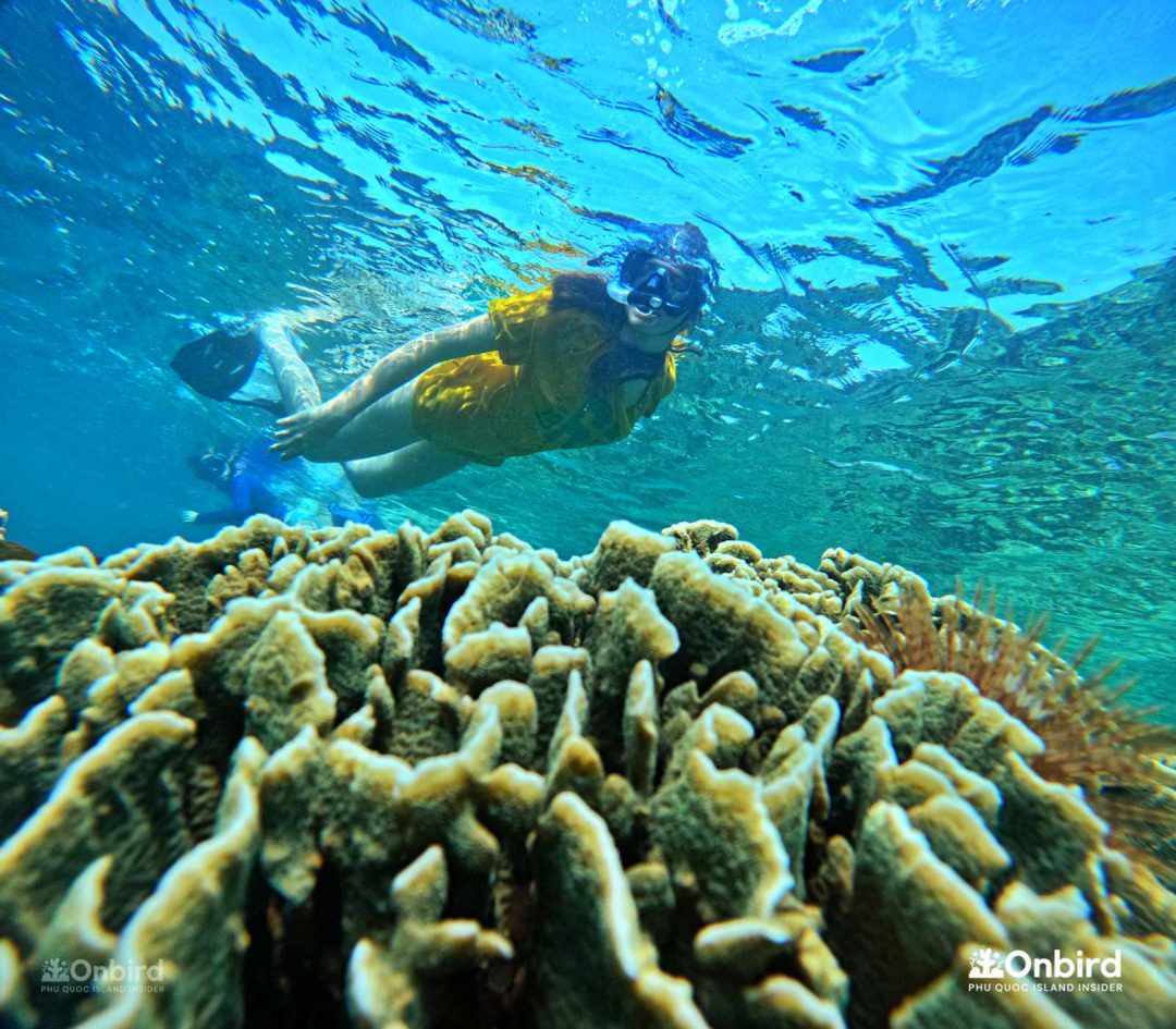 Dcim101goprogopr6446.jpg